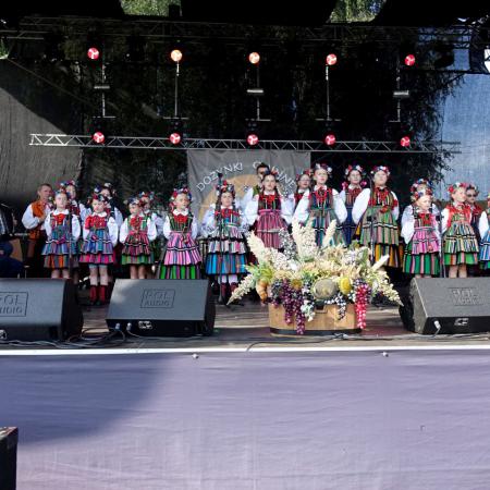 Mali Drzewiczanie śpiewają na scenie podczas Dożynek gminnych w Jelnej