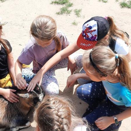 Grupa dzieci głaskająca kozę w ZOO