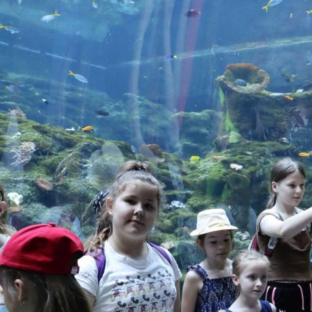 Grupa dzieci w Oceanarium w Zoo