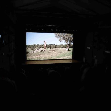 Film pt: "Serce Ojca"